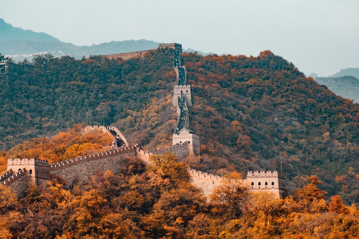 Study in China